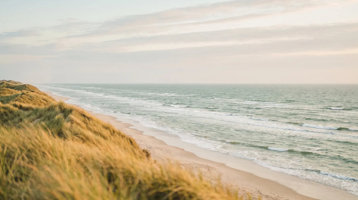 Golven die aanrollen op een breed Noordzeestrand, met duinen ernaast