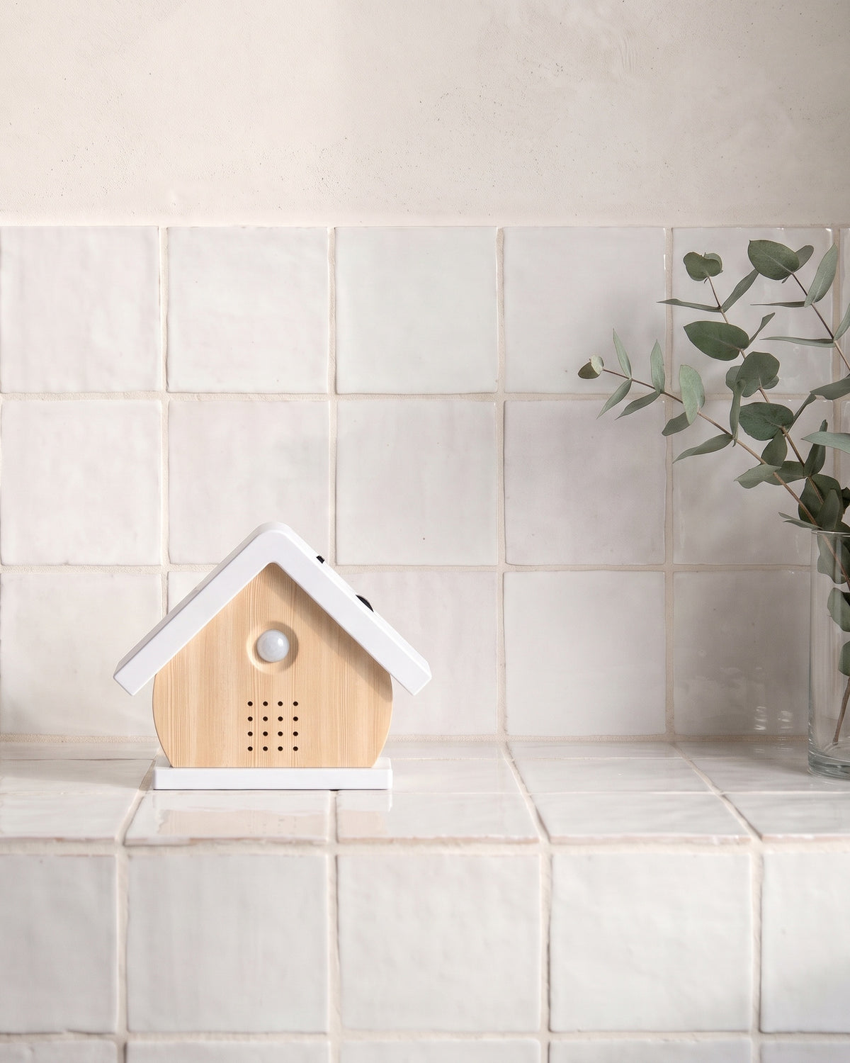 Het vogelhuisje in Berk op de tegelrichel van een wc