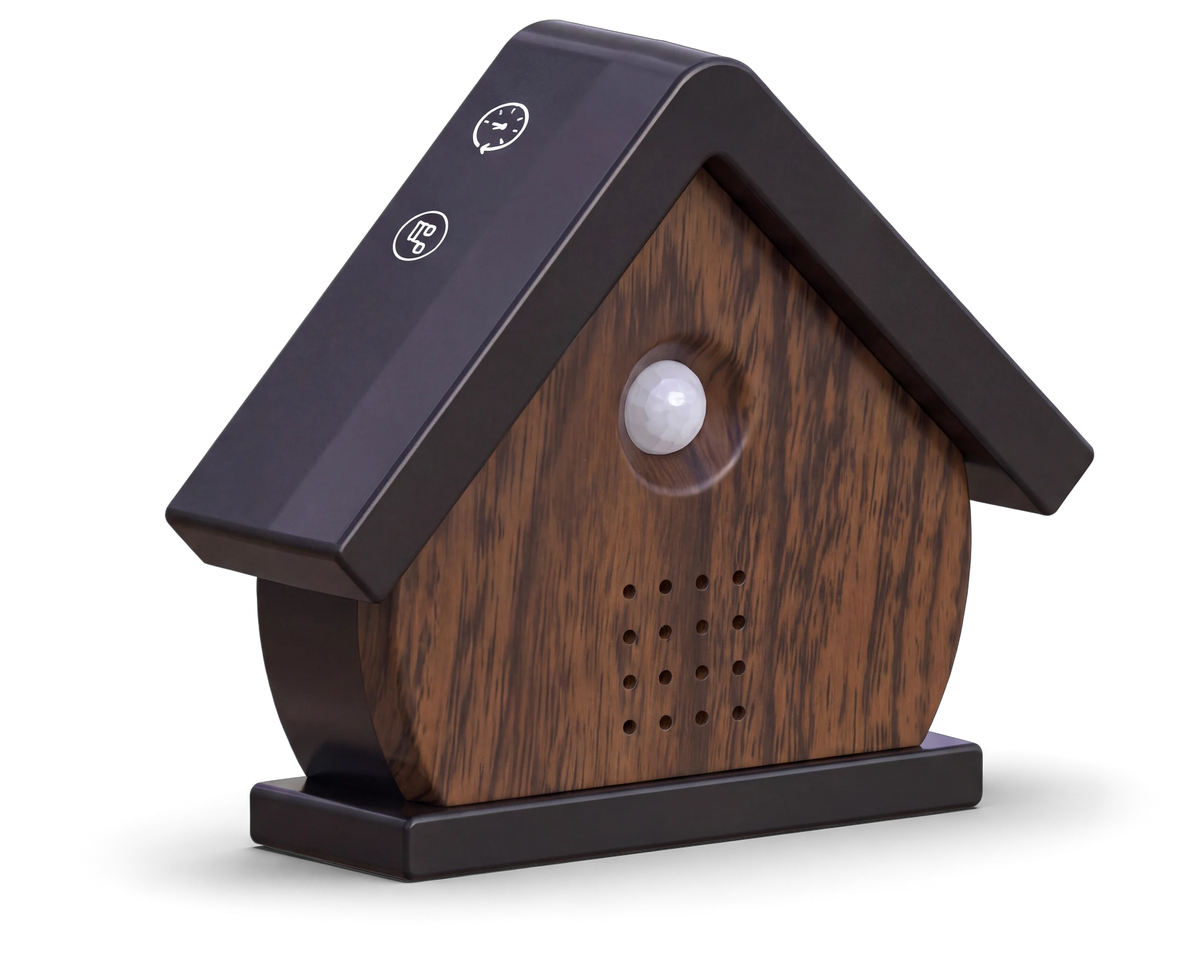 Het vogelhuisje in Walnoot, schuin, met de klok en de noot op het dak